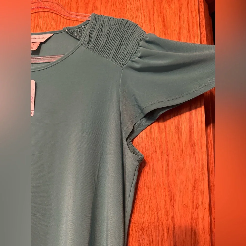 NWT Teal T-shirt Dress - Picture 9 of 16